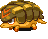 Object armadill.png